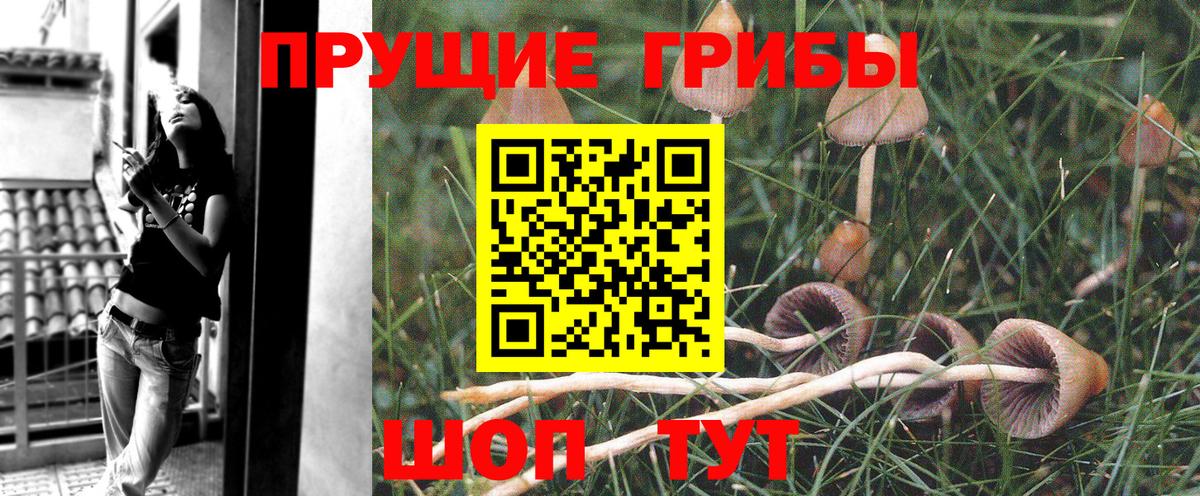 Дмитров  Галлюциногенные грибы Magic Shrooms  Вход с VPN 